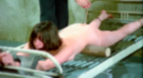 bestcelebgirls.com: martine stedil & lina romay naked in barbed wire dolls ( also known as