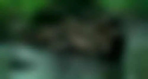 bestcelebgirls.com: sara forestier naked in love battles ( also known as