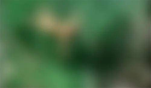 bestcelebgirls.com: laure cavallera (full movie) naked in la fille et l'amande