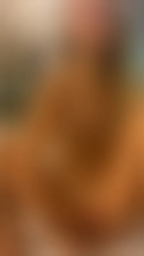 jb top 32 | hd 720p porn video on bestcelebgirls.com