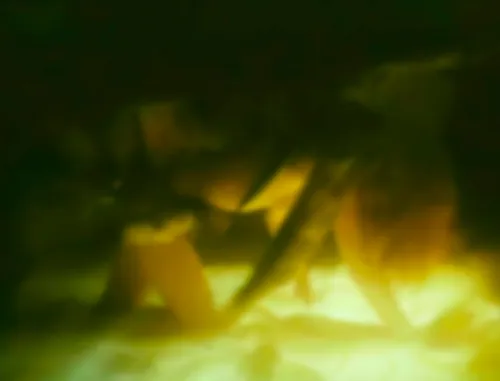 bestcelebgirls.com: aurelija anuzhite naked in zirneklis ( also known as