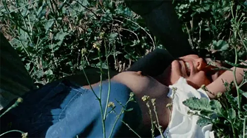 bestcelebgirls.com: jacqueline poseley & kippi bell & sheryl lynn & mary ellen christie & dorothy bennett naked in hitch hike to hell (full movie)