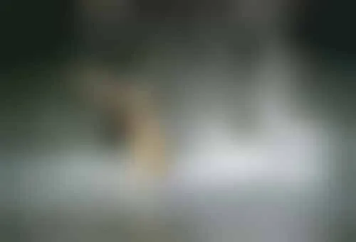 bestcelebgirls.com: jacqueline giroux naked in the beast and the vixens ( also known as