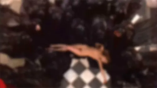 bestcelebgirls.com: indra ove & laure marsac & kirsten dunst naked in interview with the
vampire : the vampire chronicles