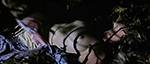 the beast within - katherine moffat | hd 720p the beast within - katherine moffat | hd 720p