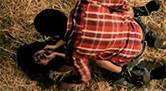 en las afueras de la ciudad / hidden in the woods - siboney lo & carolina escobar