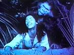 tanya's island - vanity