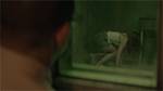 girl in the basement - stefanie scott | hd 720p