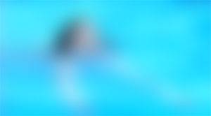 demi tarif - lila salet & cindy david demi tarif - lila salet & cindy david