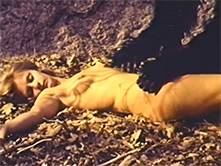 the beast and the vixens / the beauties and the beast - jacqueline giroux the beast and the vixens / the beauties and the beast - jacqueline giroux