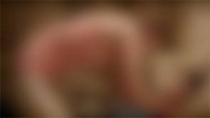 millennium - carla rasmussen millennium - carla rasmussen