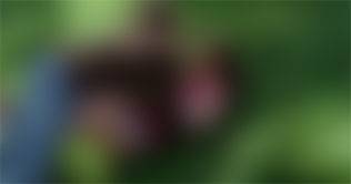 die unerzogenen / the unpolished / trop libre - ceci chuh die unerzogenen / the unpolished / trop libre - ceci chuh