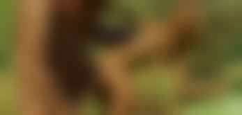 bestcelebgirls.com exclusive 3d lea nude teen, exclusive young 3d teen girl, 3dcg teen, SFM teen girl