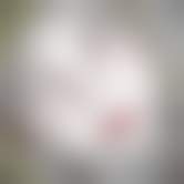 bestcelebgirls.com exclusive 3d dasha nude teen, exclusive young 3d teen girl, 3dcg teen, SFM teen girl