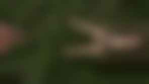 bestcelebgirls.com exclusive 3d sarah nude teen, exclusive young 3d teen girl, 3dcg teen, SFM teen girl