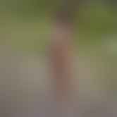 bestcelebgirls.com exclusive 3d anita nude teen, exclusive young 3d teen girl, 3dcg teen, SFM teen girl