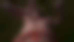 bestcelebgirls.com exclusive 3d amelie nude teen, exclusive young 3d teen girl, 3dcg teen, SFM teen girl