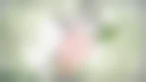 bestcelebgirls.com exclusive 3d marie rose nude teen, exclusive young 3d teen girl, 3dcg teen, SFM teen girl