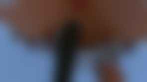 bestcelebgirls.com exclusive 3d celina nude teen, exclusive young 3d teen girl, 3dcg teen, SFM teen girl