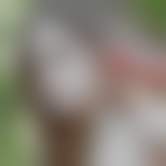 bestcelebgirls.com exclusive ai girls against monsters nude teen, Deepfake, Stable Diffusion Porn, Stable Diffusion NSFW, AI Porn, Stable Diffusion Celebrities Porn