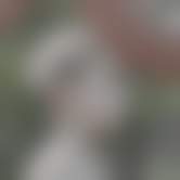 bestcelebgirls.com exclusive ai girls against monsters nude teen, Deepfake, Stable Diffusion Porn, Stable Diffusion NSFW, AI Porn, Stable Diffusion Celebrities Porn