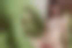 bestcelebgirls.com exclusive ai girls nude teen, Deepfake, Stable Diffusion Porn, Stable Diffusion NSFW, AI Porn, Stable Diffusion Celebrities Porn